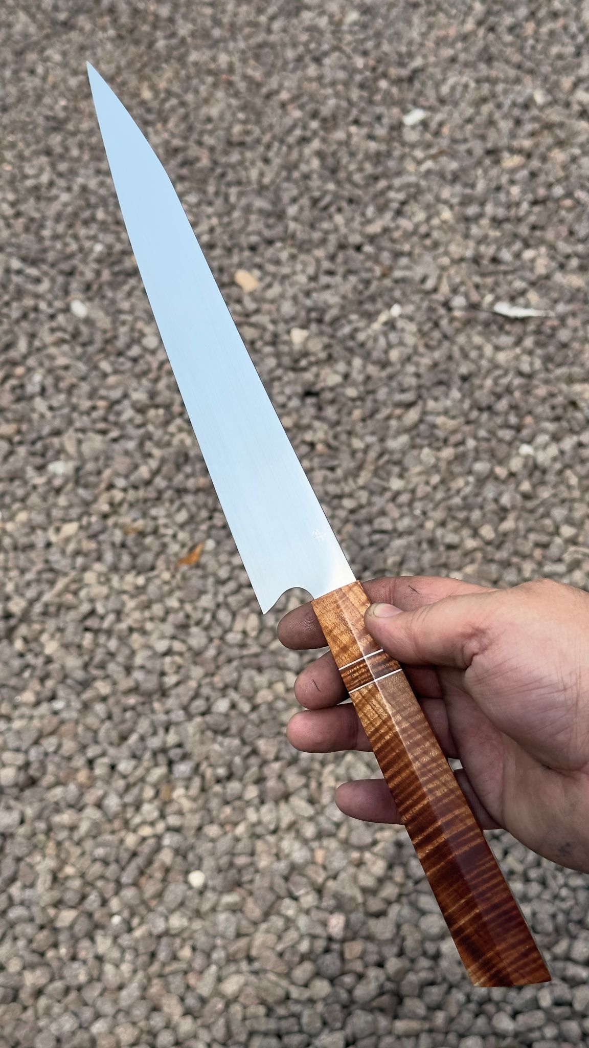 Un Sujihiki in MAGNACUT